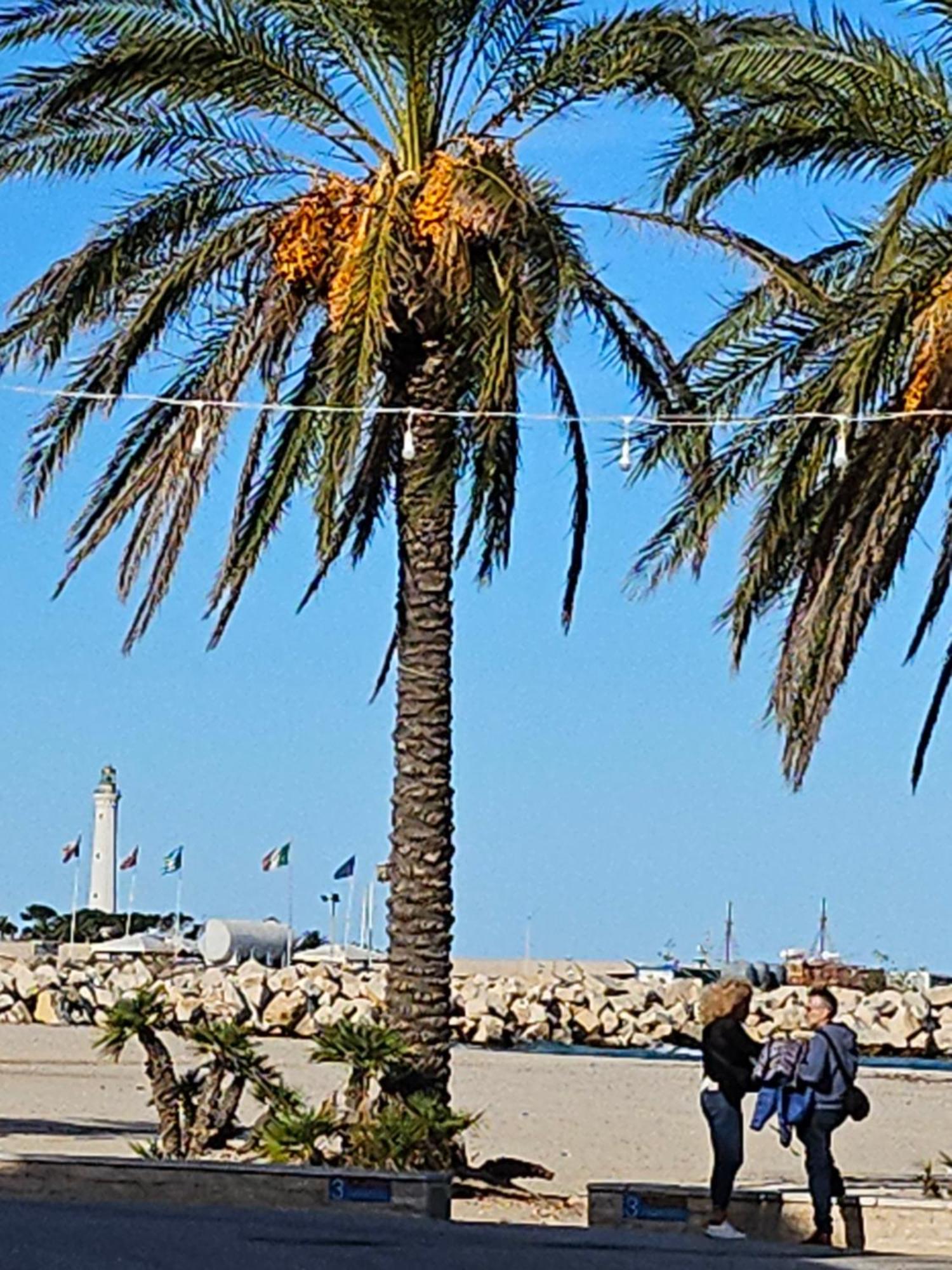 Cico Appartamento San Vito Lo Capo Exterior photo